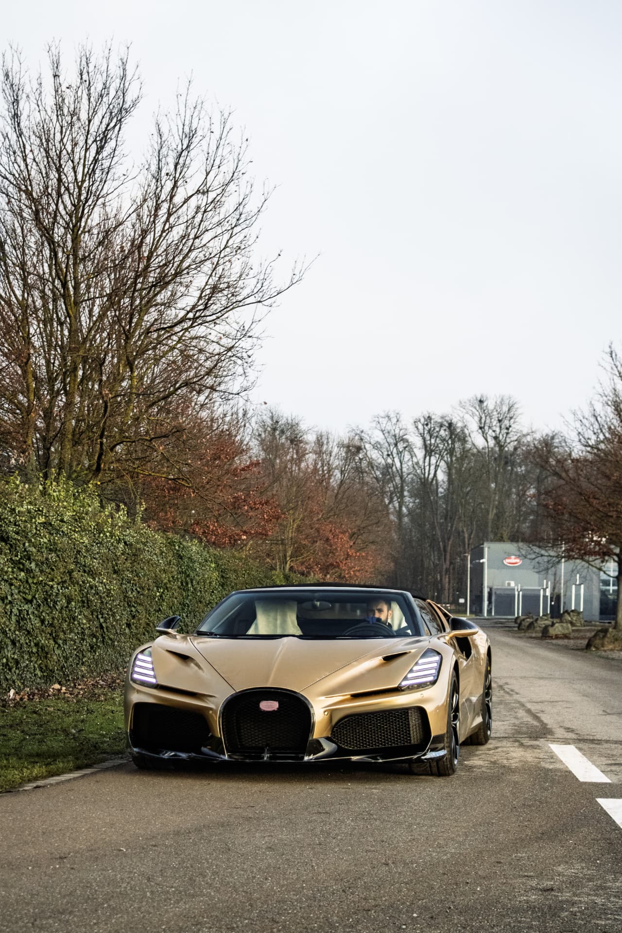 Bugatti Mistral — 5