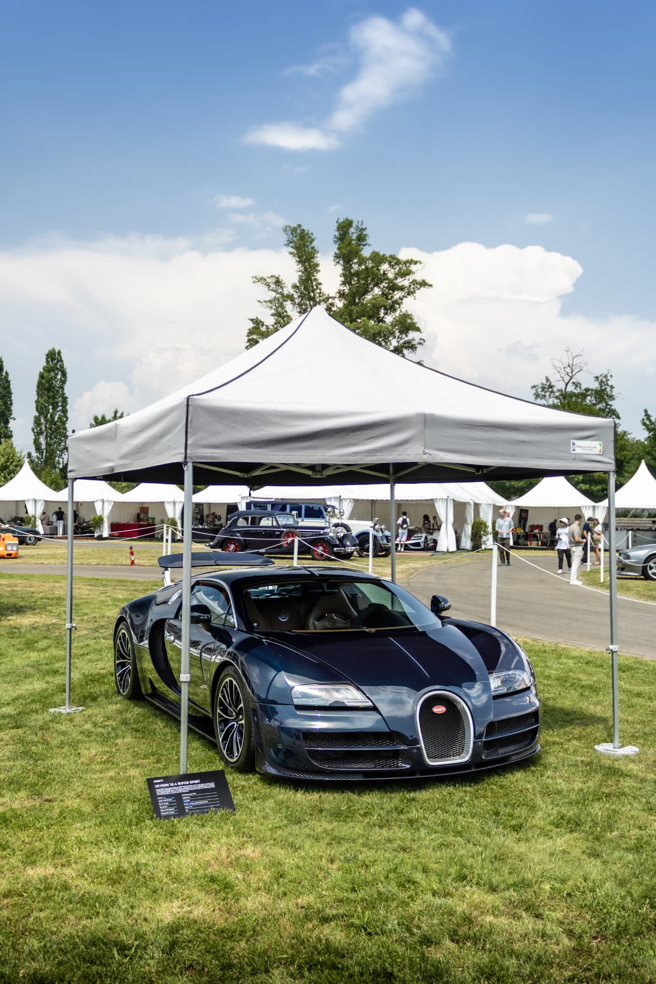 Concours International d'Élégance Schlumpf à Mulhouse — photo 10