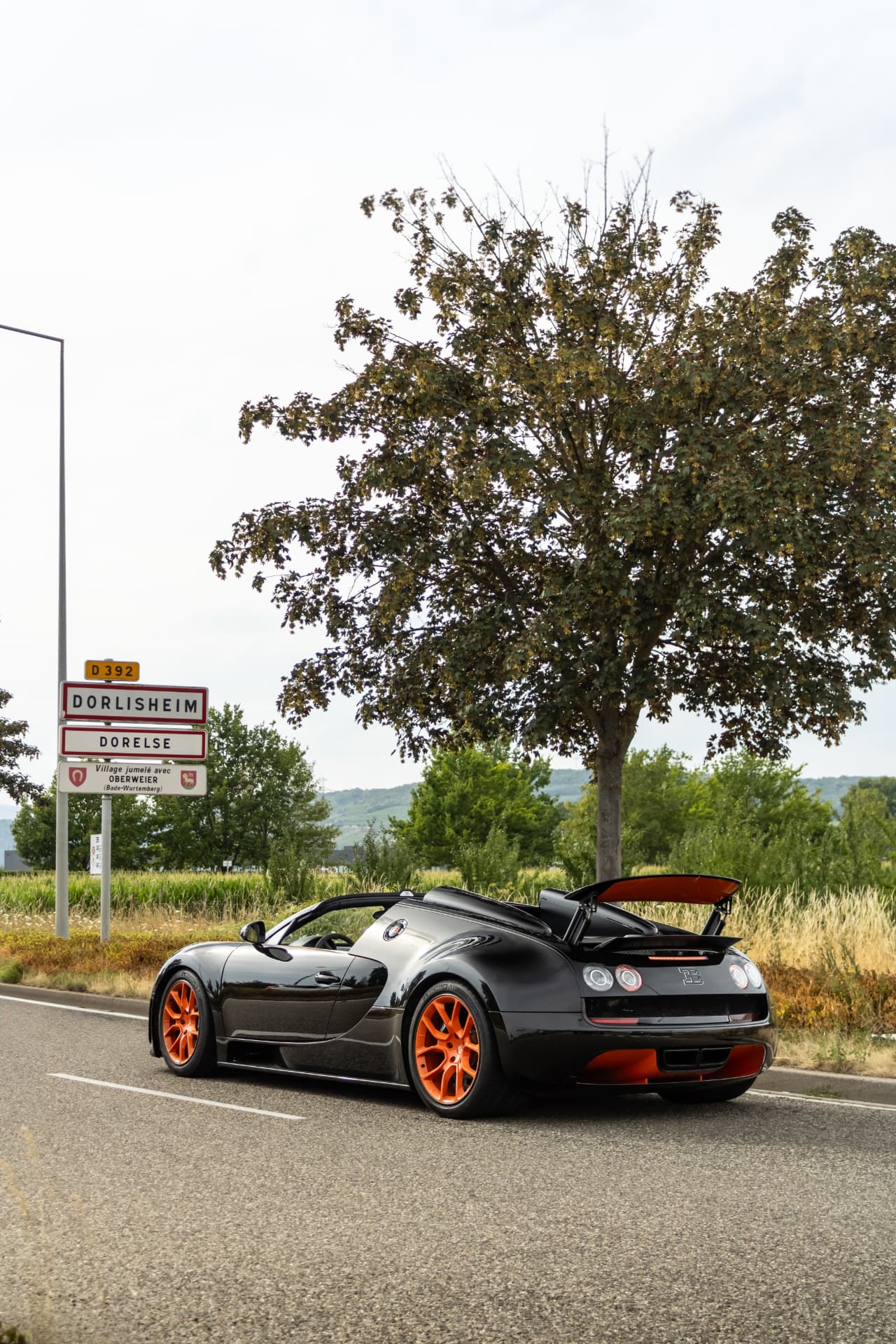 Bugatti Veyron Grand Sport Vitesse WRC