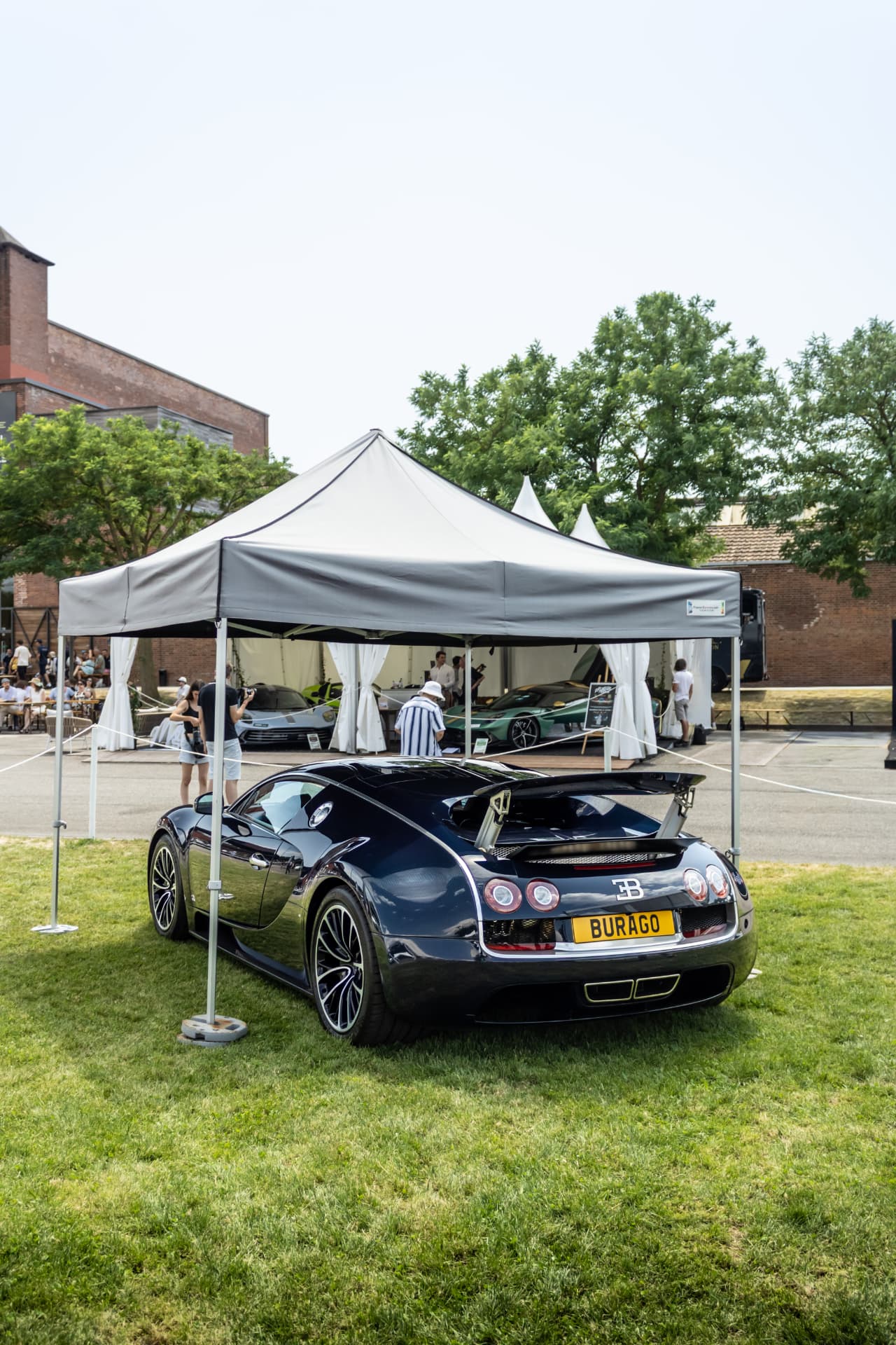 Concours International d'Élégance Schlumpf à Mulhouse — photo 11