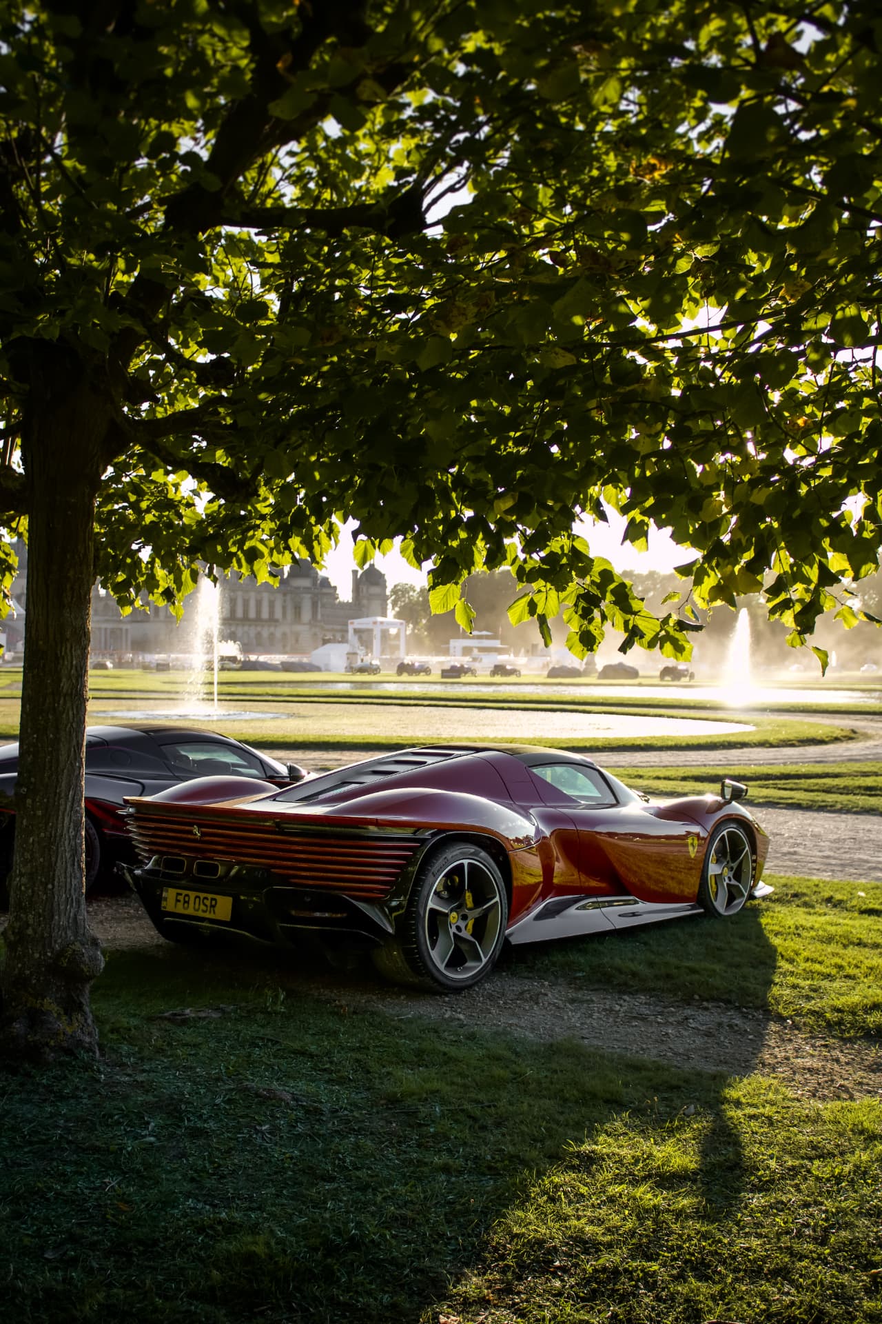 Concours Chantilly Arts & Élégance Richard Mille — photo 12