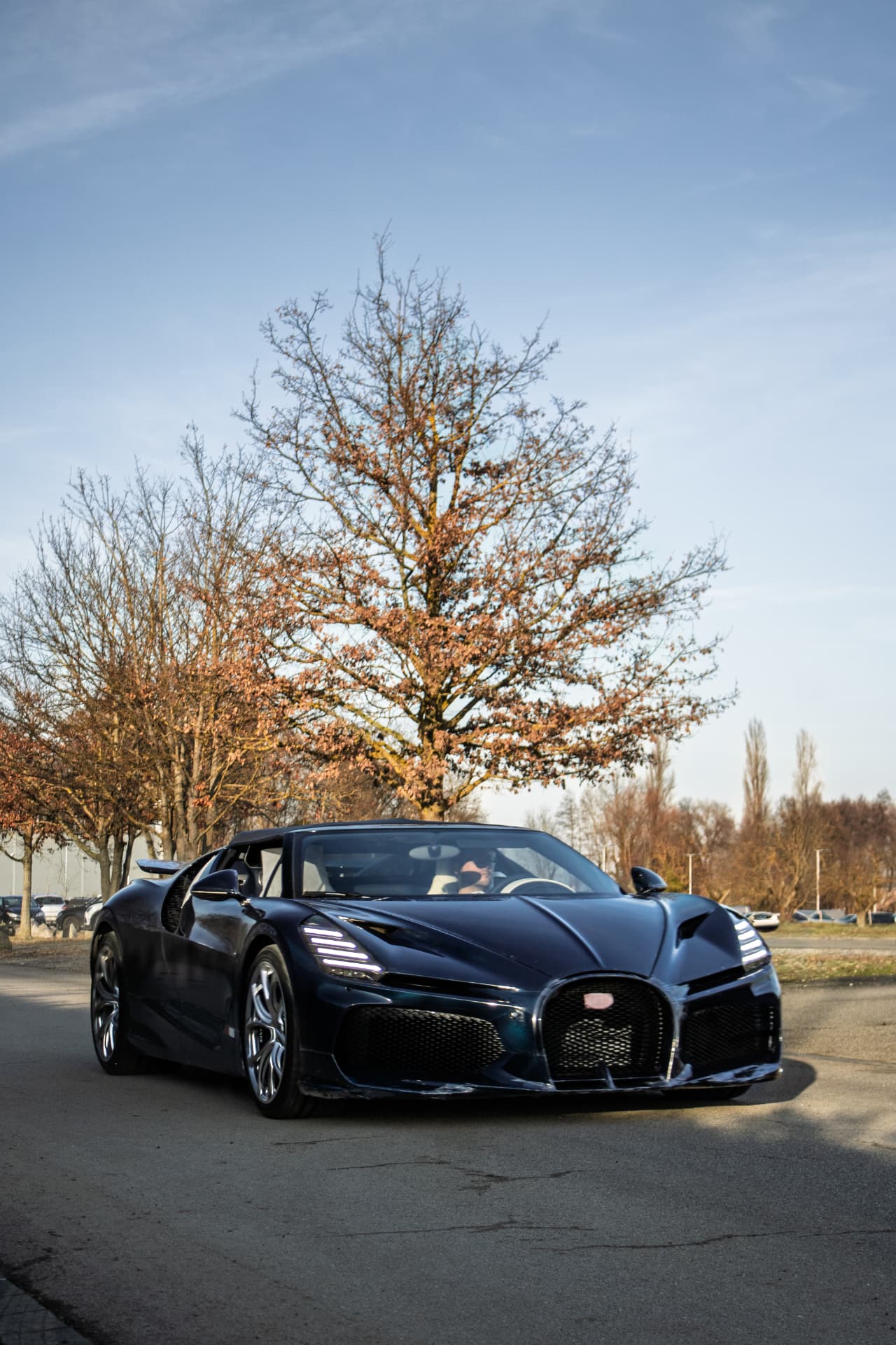Bugatti Mistral — 4