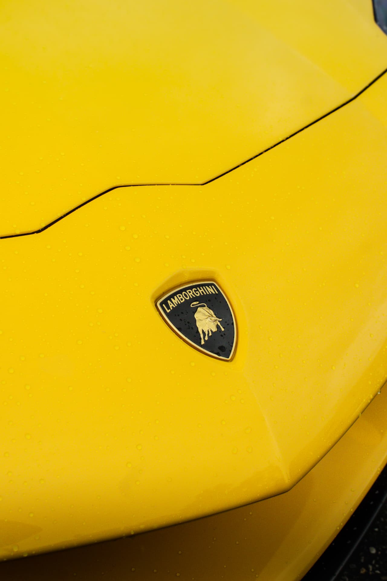 Lamborghini Aventador LP 750-4 SV Roadster — 6