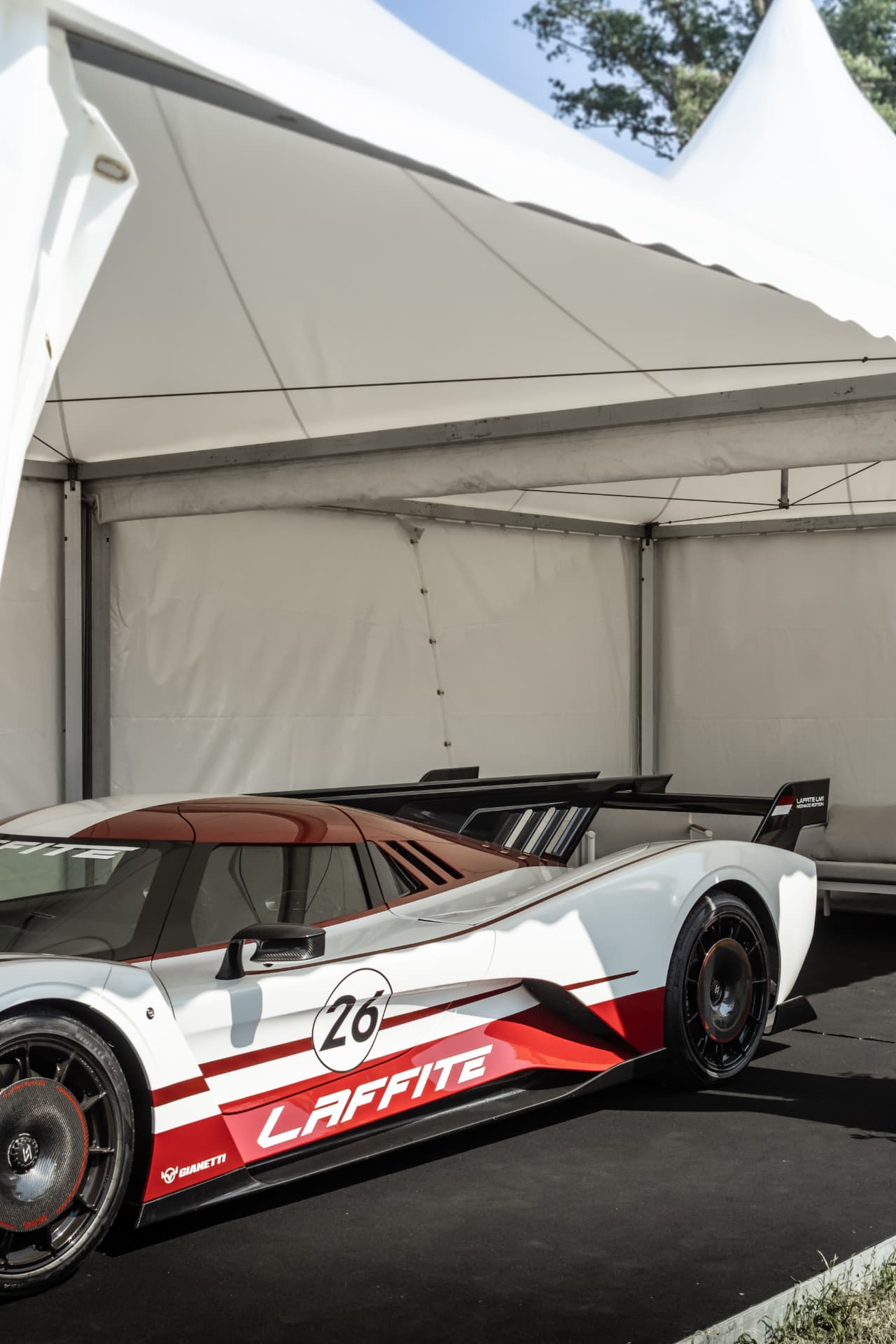 Laffite LM1 à Mulhouse — photo 19