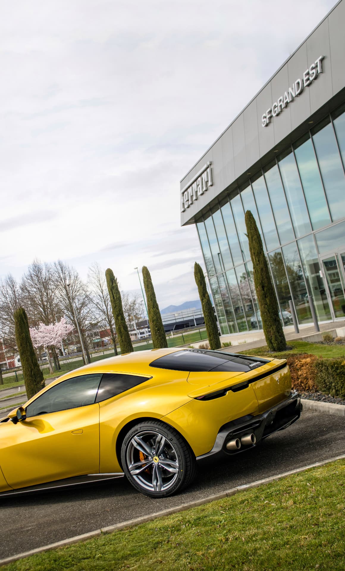 Ferrari Amalfi