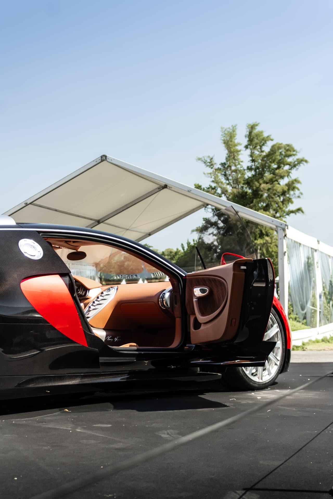 Bugatti Veyron « FKP Hommage » à Mulhouse — photo 6