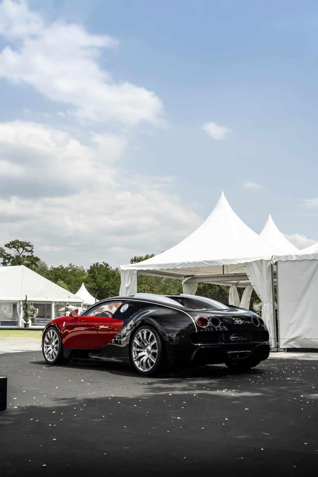 Bugatti Veyron « FKP Hommage » à Mulhouse — photo 13