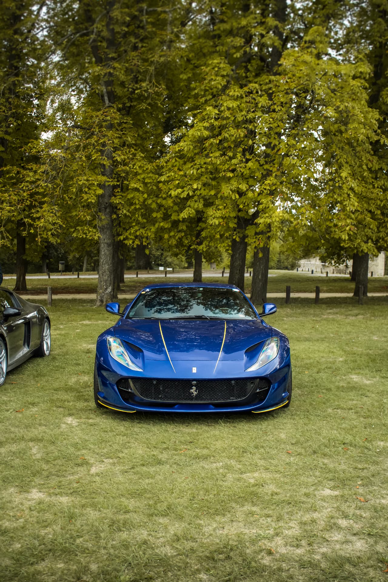 Concours Chantilly Arts & Élégance Richard Mille — photo 62
