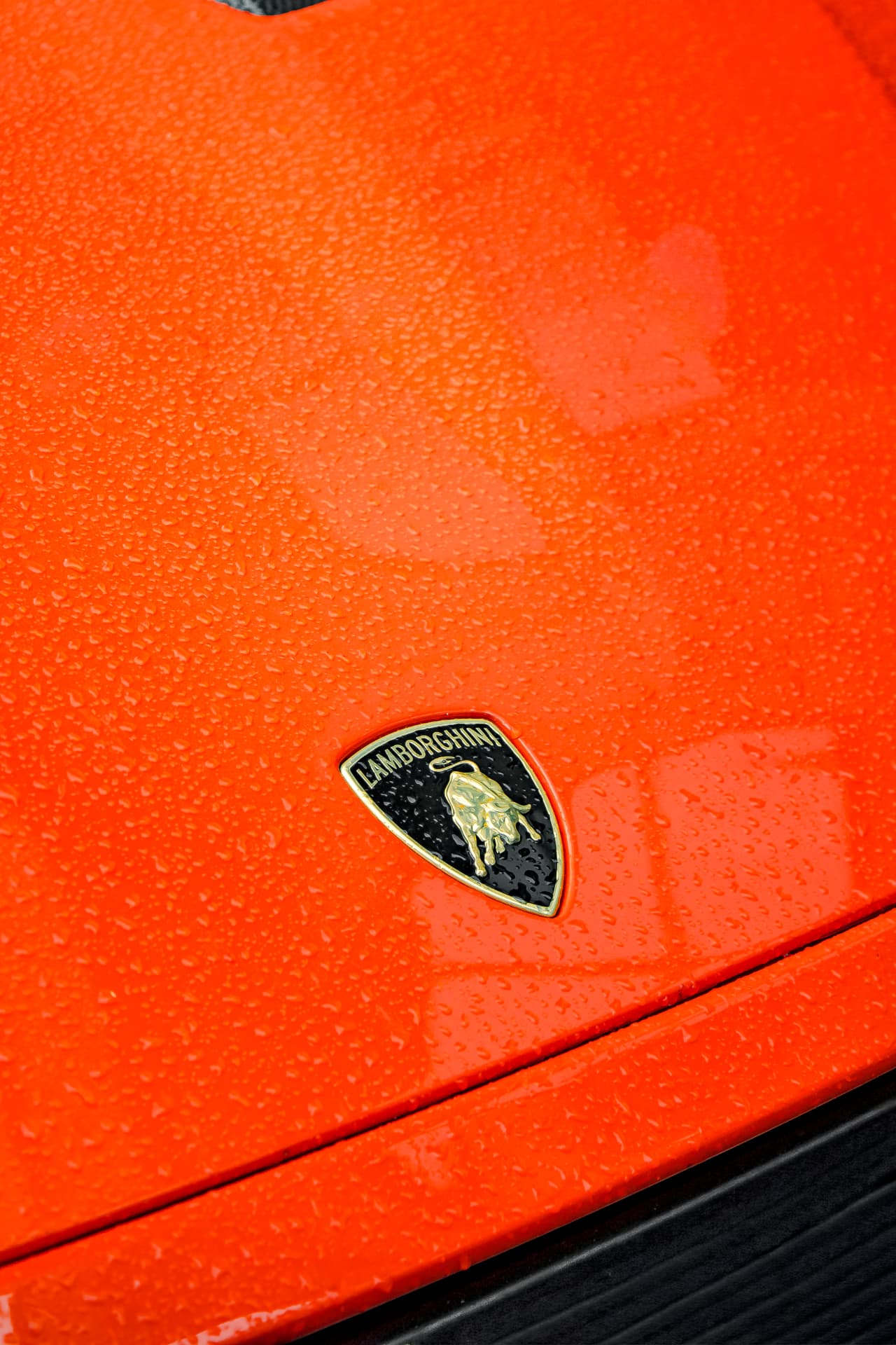 Écusson Lamborghini sur le capot