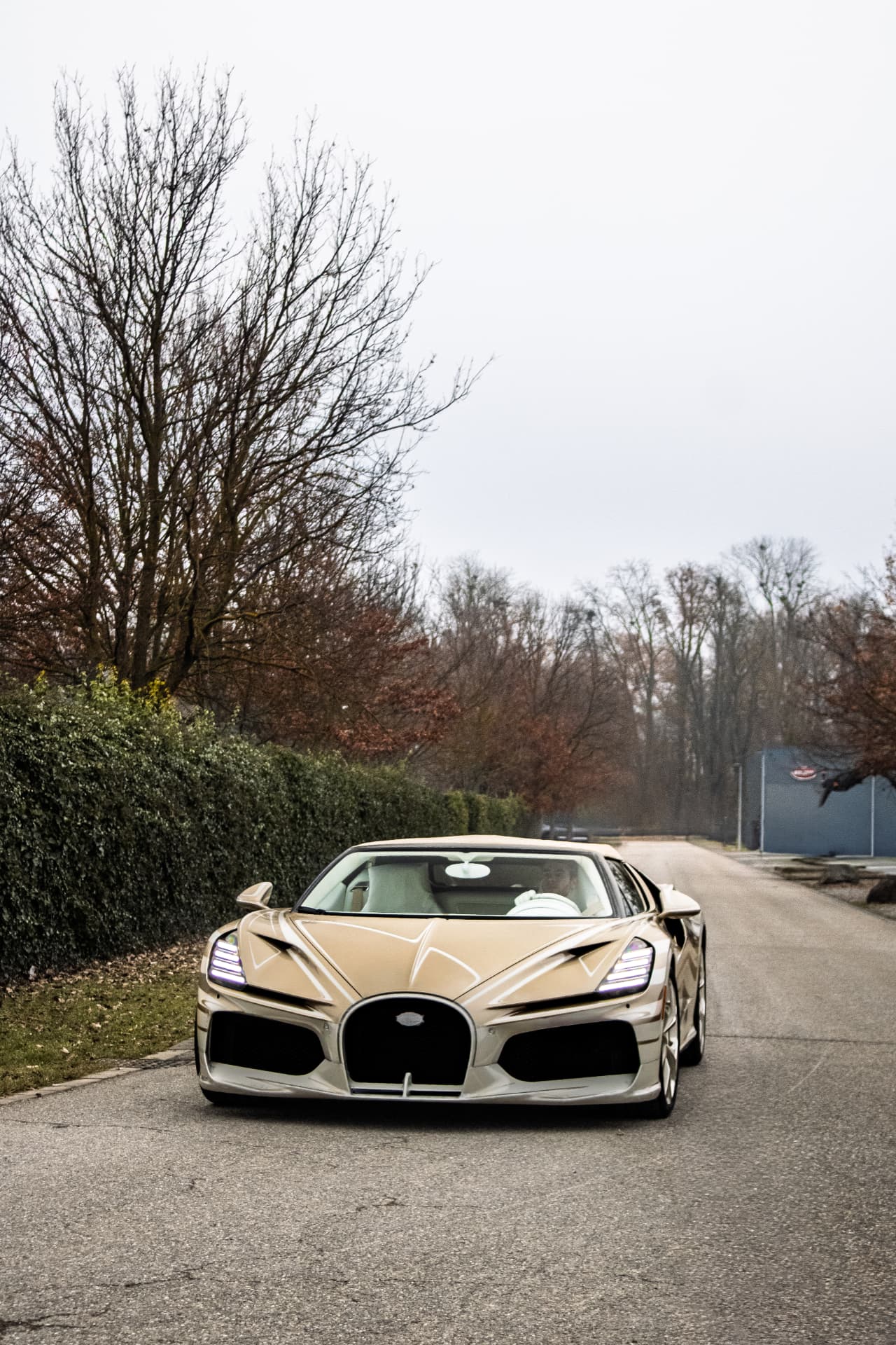Bugatti Mistral — 10