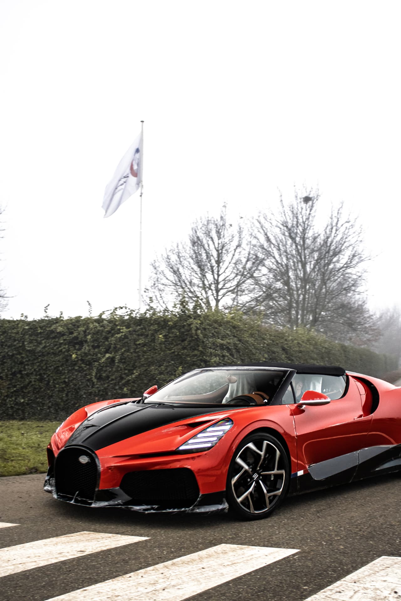 Bugatti Mistral — 6