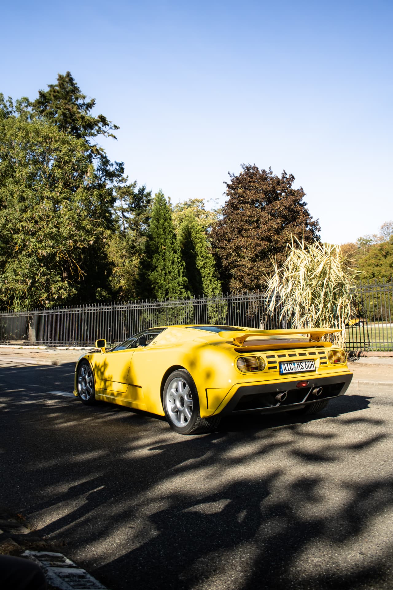 Bugatti Festival à Molsheim — photo 7
