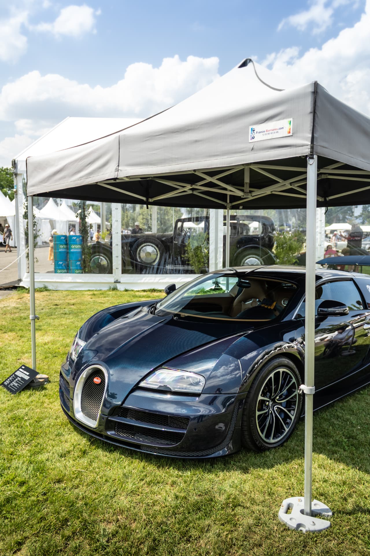 Concours International d'Élégance Schlumpf à Mulhouse — photo 21