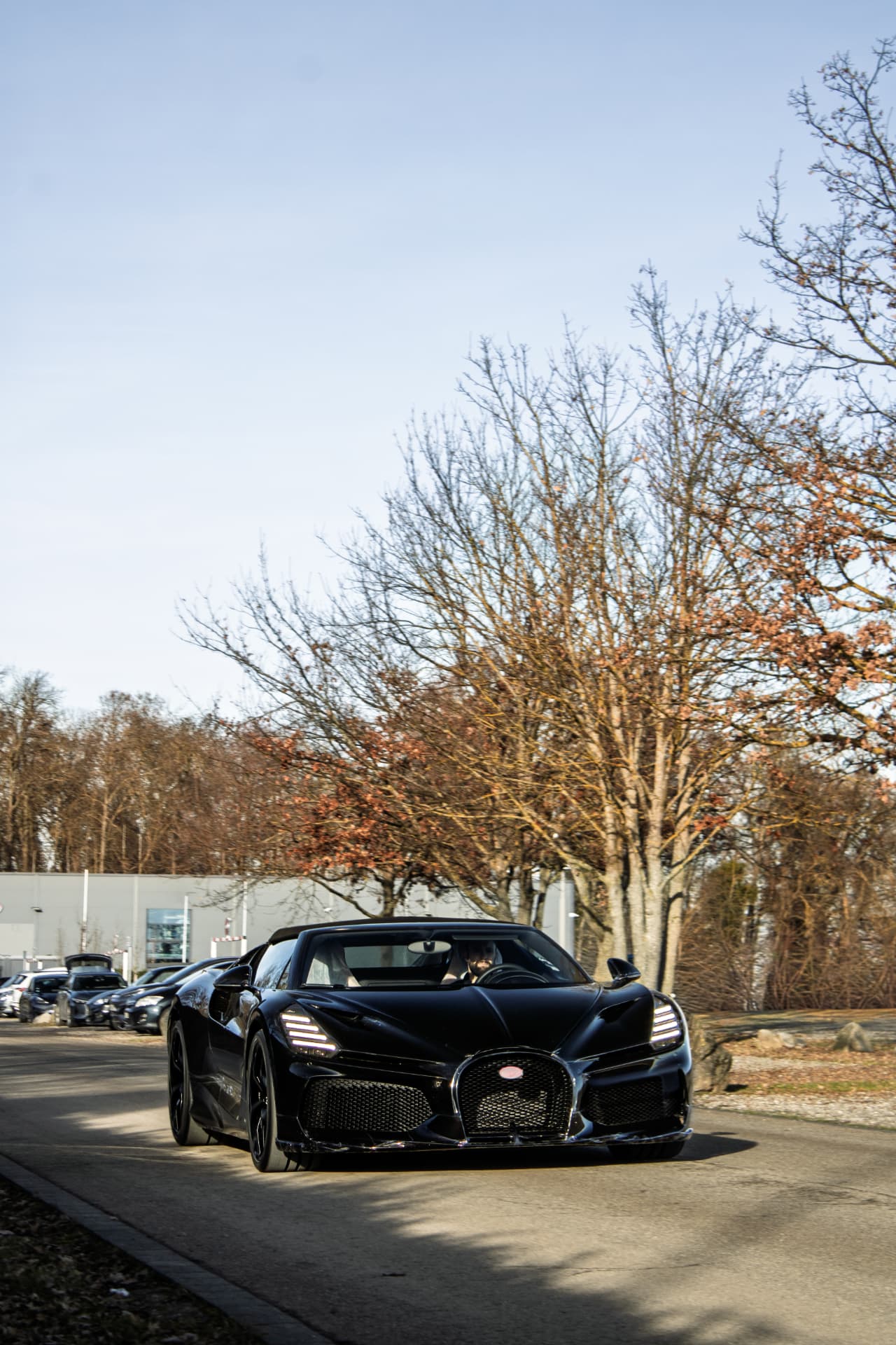 Bugatti Mistral — 9