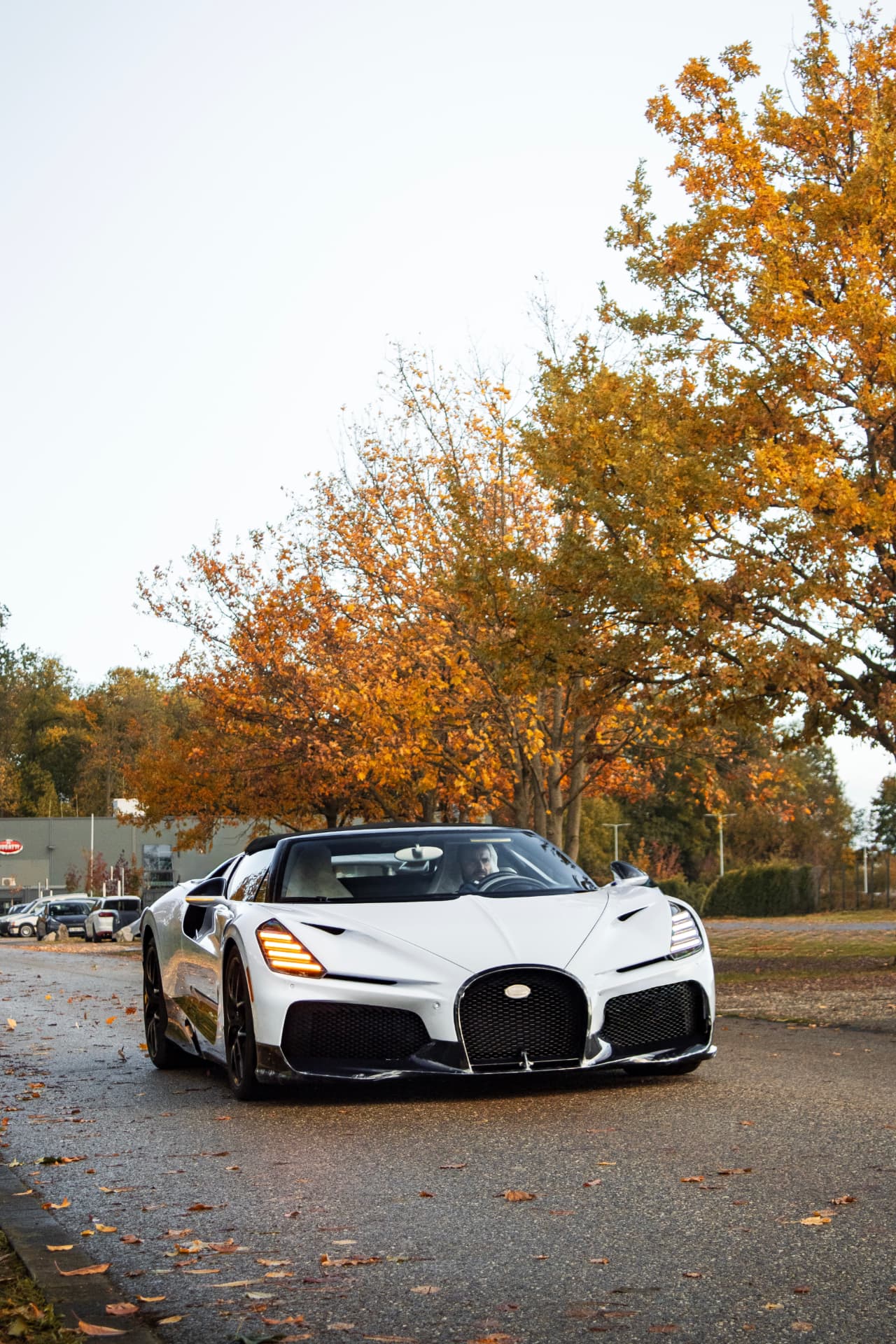 Bugatti Mistral — 11